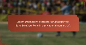 Blerim Džemaili: Weltmeisterschaftsauftritte, Euro-Beiträge, Rolle in der Nationalmannschaft