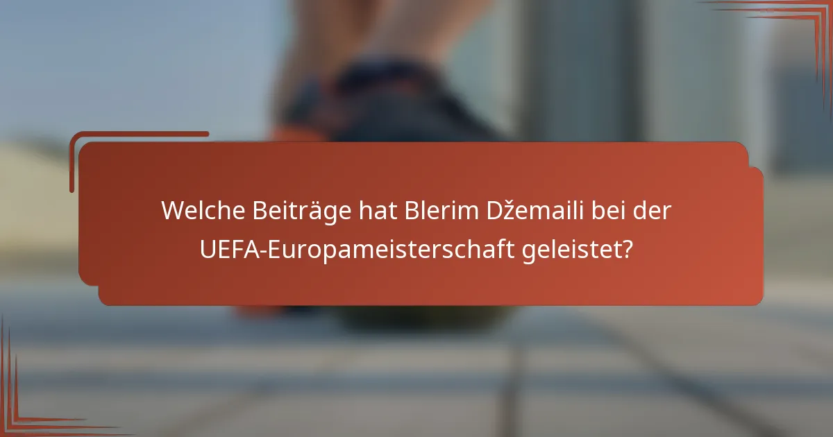 Welche Beiträge hat Blerim Džemaili bei der UEFA-Europameisterschaft geleistet?