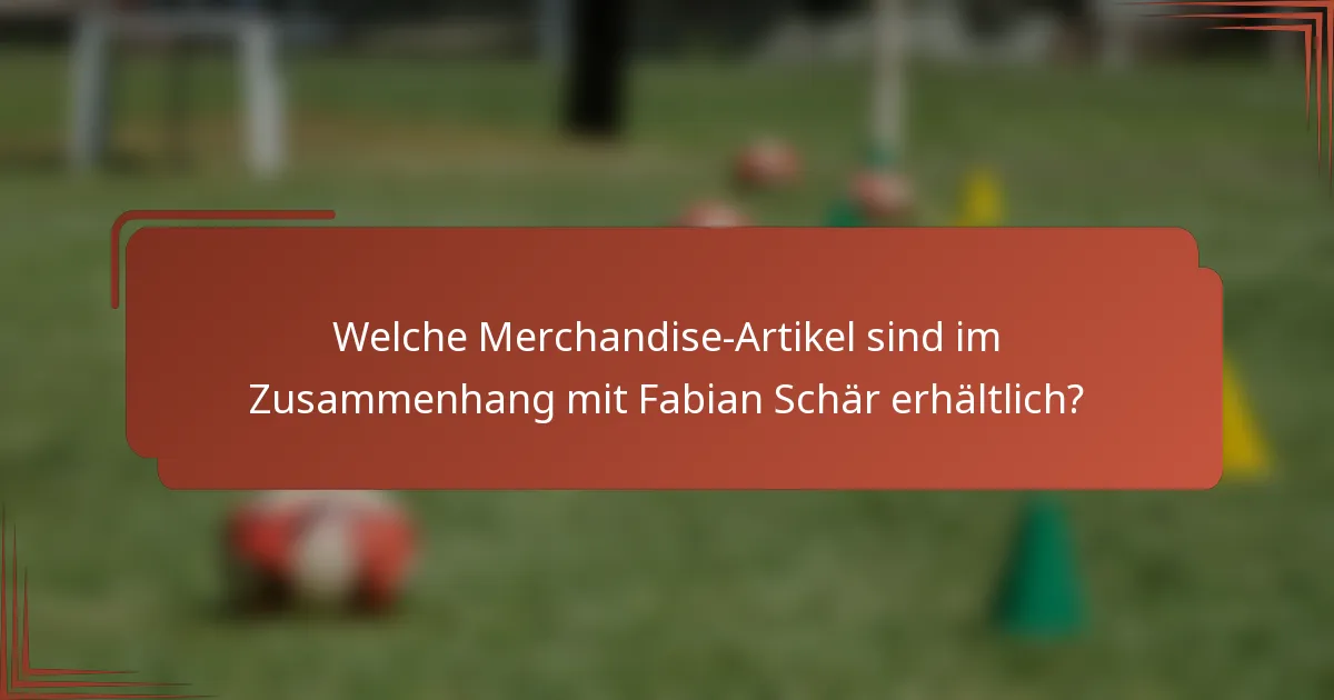 Welche Merchandise-Artikel sind im Zusammenhang mit Fabian Schär erhältlich?